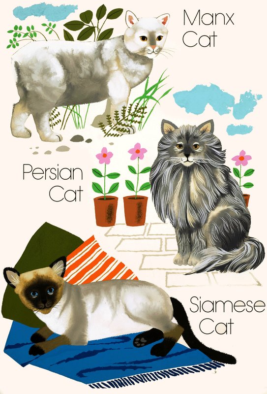 飼い猫 作： 英語学校