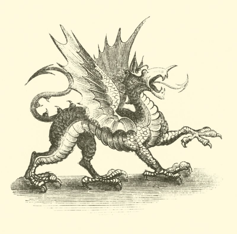 ドラゴン（刻印） 作： 英語学校