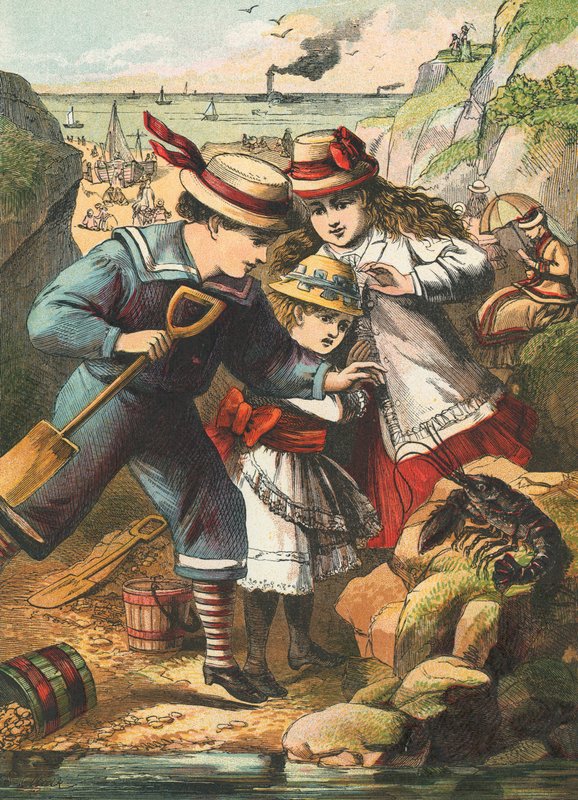 ビーチでロブスターを見つける 作： 英語学校