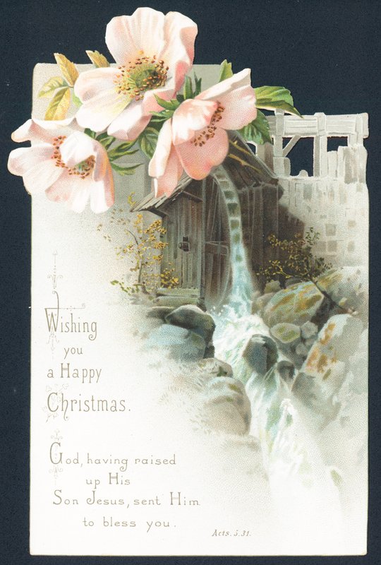 花と水のカスケード、クリスマスカード 作： 英語学校