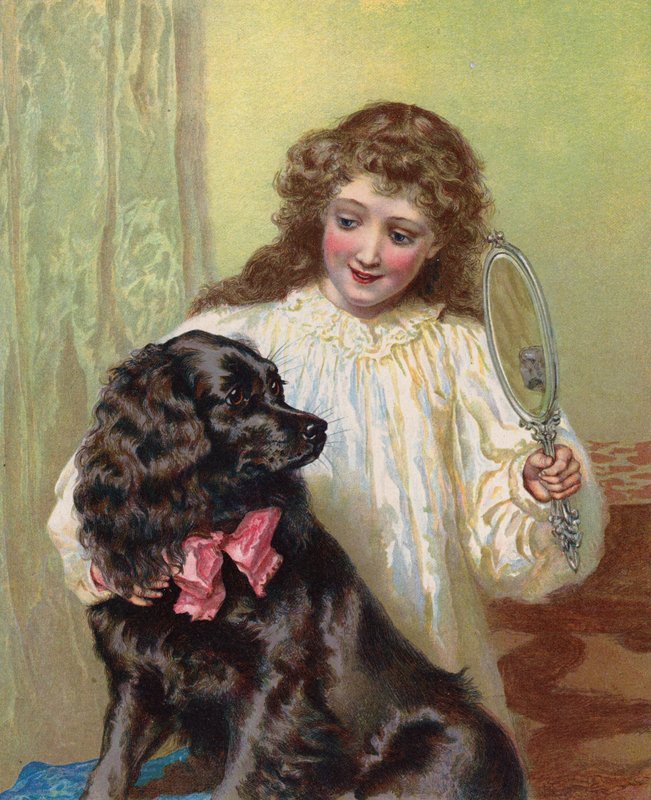 ペットの犬を鏡に映す女の子 (クロモリソ) 作： 英語学校