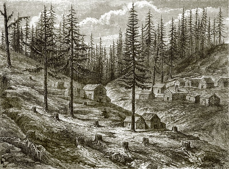 グラスバレー掘削 作： 英語学校