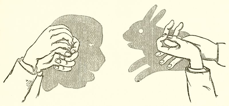 手の影 作： 英語学校