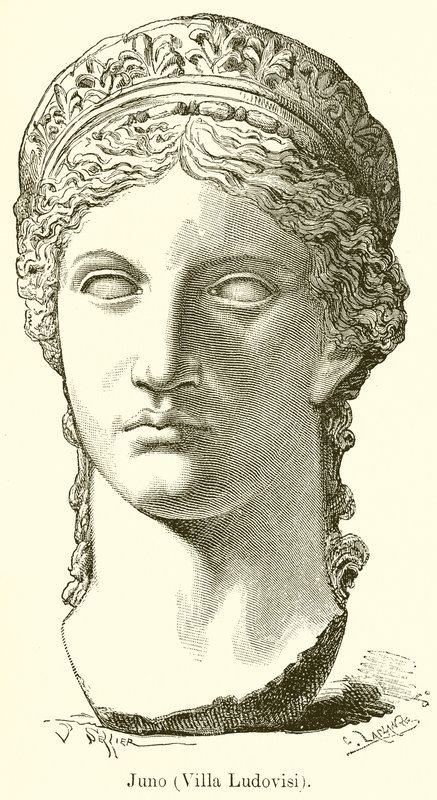 ジュノ（Villa Ludovisi） 作： 英語学校