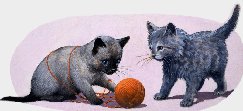 羊毛のボールで遊ぶ子猫 作： 英語学校