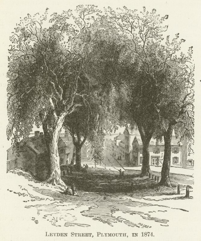 1874年のプリマスのライデンストリート 作： 英語学校