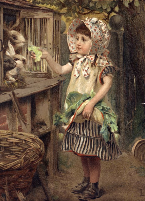 ウサギに餌をやる少女 作： 英語学校
