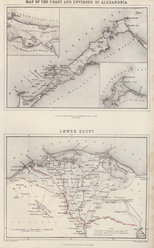 地図アレクサンドリア海岸と周辺地図；下エジプト（カラーリトグラフ） 作： 英語学校