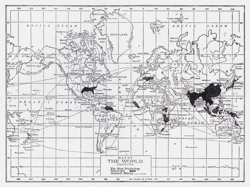 米生産国を示す世界地図（リトグラフ） 作： 英語学校
