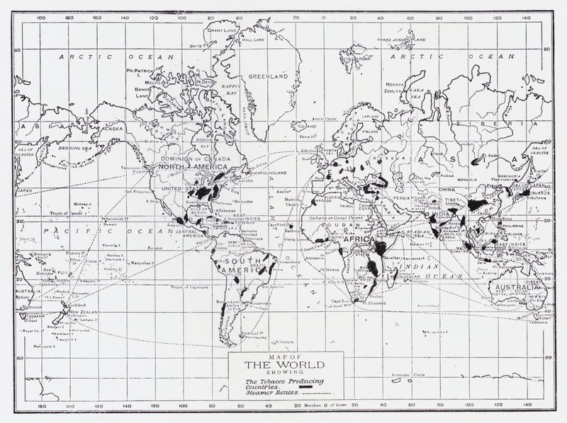 たばこ生産国を示す世界地図 作： 英語学校