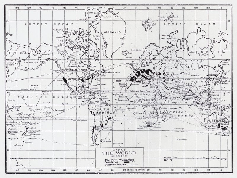 ワイン生産国を示した世界地図（リトグラフ 作： 英語学校
