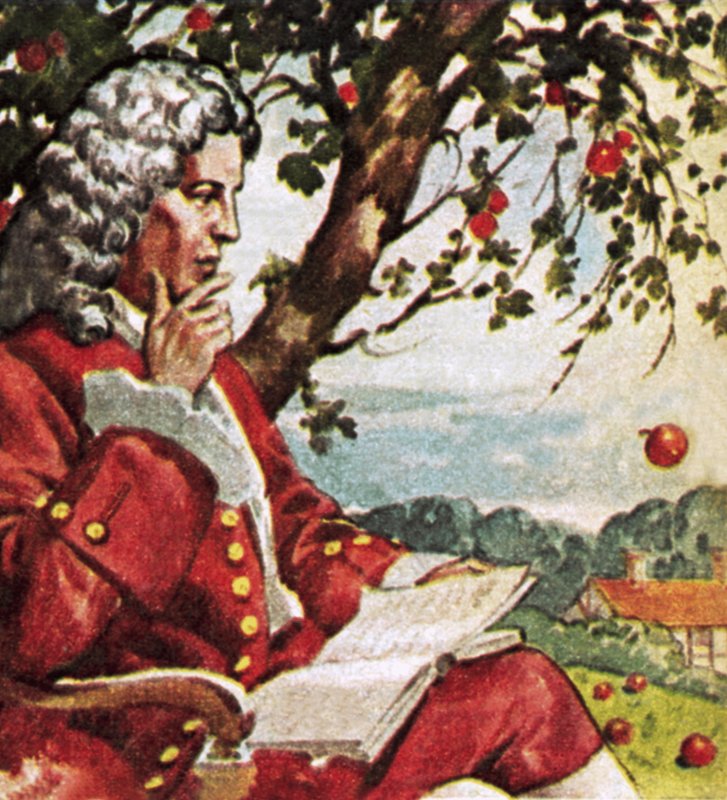 リンゴが落ちるのを見るニュートン 作： 英語学校
