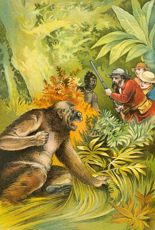 私たちの最初のゴリラ 作： 英語学校
