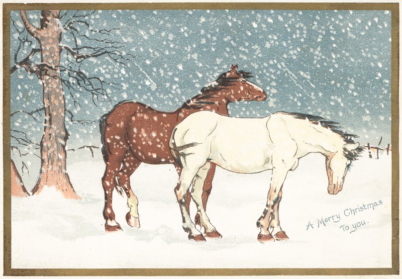 雪の中のポニー、クリスマスカード 作： 英語学校
