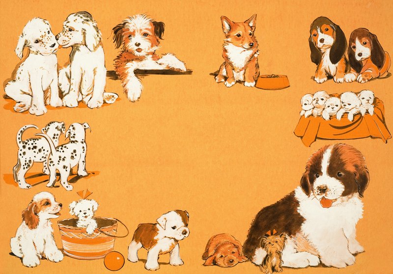 子犬 作： 英語学校