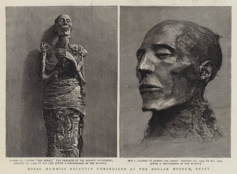エジプトのブーラック博物館で最近解体された王家のミイラ（彫刻作品 作： 英語学校