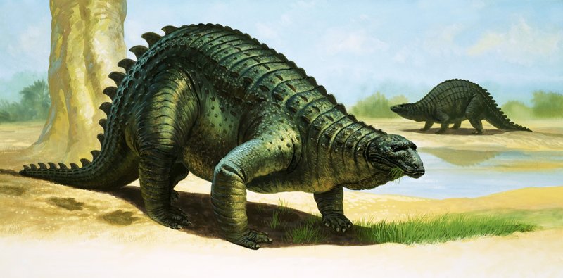 セリドサウルス 作： 英語学校