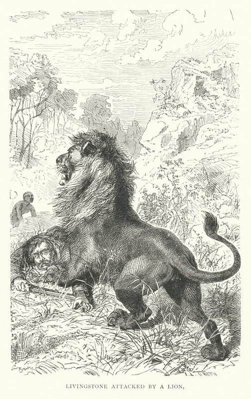 アフリカでライオンに襲われたスコットランド人宣教師デイヴィッド