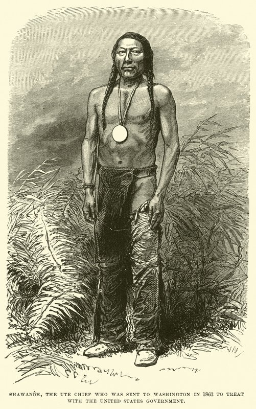 1863年に米国政府との治療のためにワシントンに派遣されたユテ族の首長、シャワノー 作： 英語学校