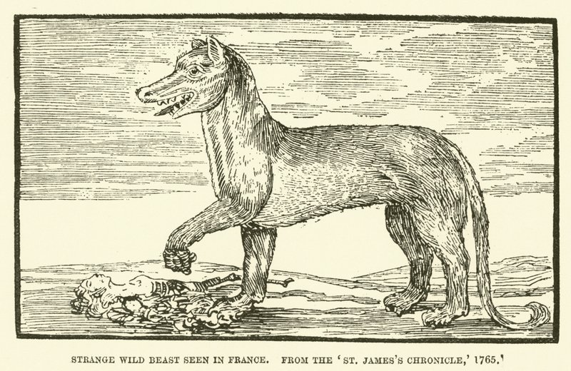 フランスで目撃された奇妙な野生の獣（St James