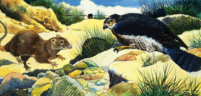 ネズミへのサプライズ 作： 英語学校