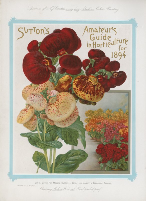 1894年の園芸におけるSuttonsアマチュアガイド 作： 英語学校