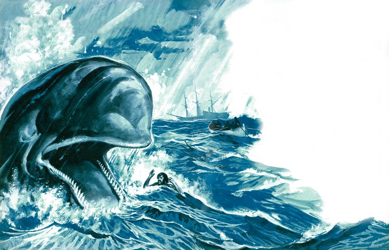 クジラに飲み込まれた（カラーリソ） 作： 英語学校