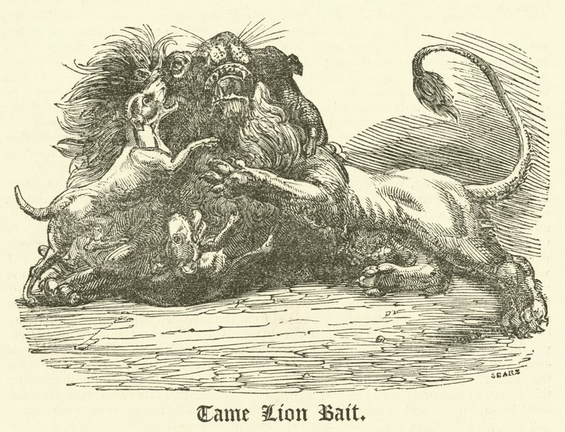 Tame Lion Bait（彫刻 作： 英語学校
