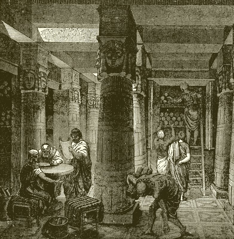 アレクサンドリア図書館 作： 英語学校