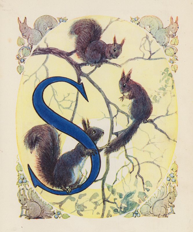 動物のABC：S、リス（カラーリトグラフ） 作： 英語学校