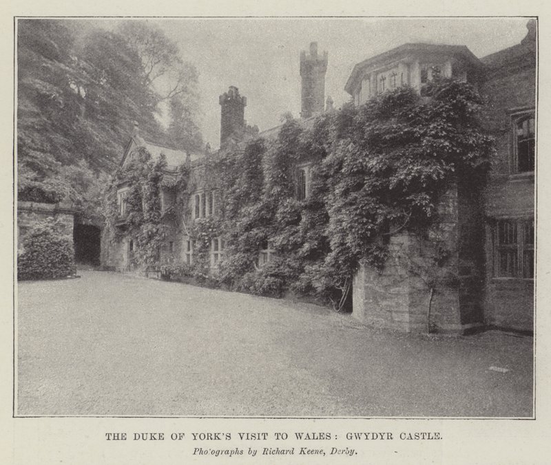 The Duke of York