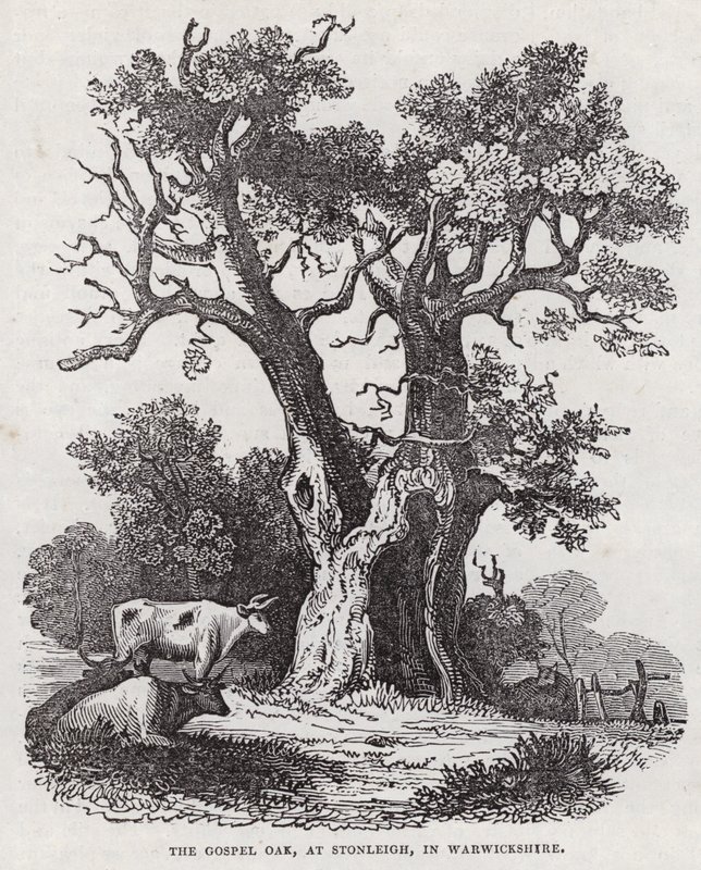 The Gospel Oak, Stonleigh, Warwickshire (Englanding) 作： 英語学校