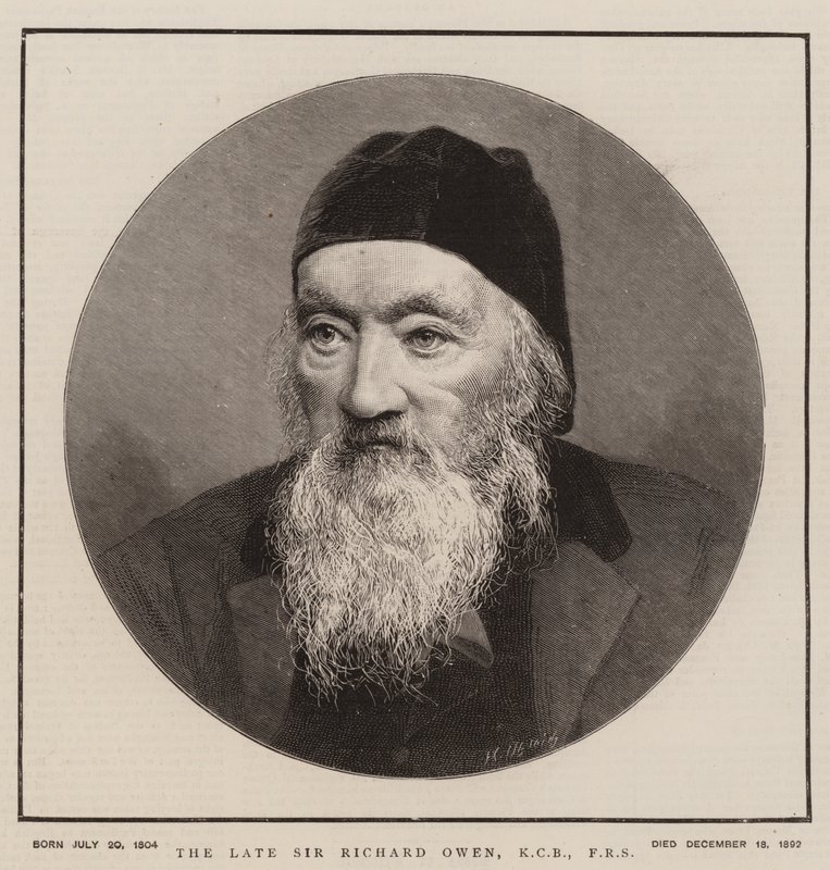 The Late Sir Richard Owen, KCB, FRS (Engraving) 作： 英語学校