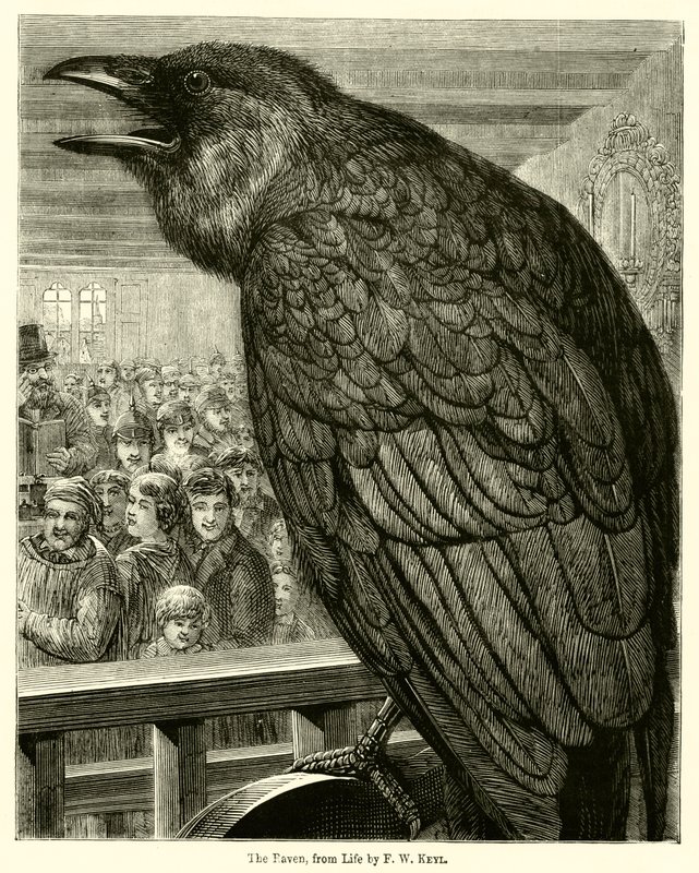 ワタリガラス、ライフ（彫刻）より 作： 英語学校
