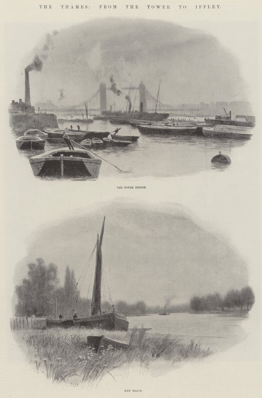 The Thames, from the Tower to Iffley (litho) 作： 英語学校