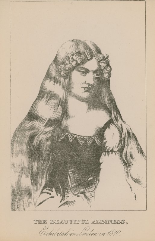 1810年にロンドンで展示された美しいアルビネス 作： 英語学校