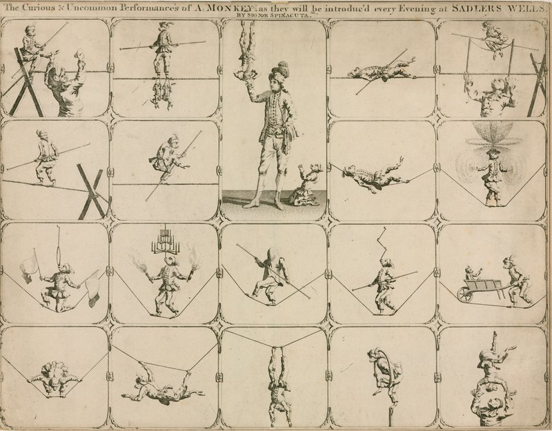 彼らが毎晩Sadlers WellsでSignor Spinacutaによって紹介されるサルの奇妙で珍しいパフォーマンス 作： 英語学校