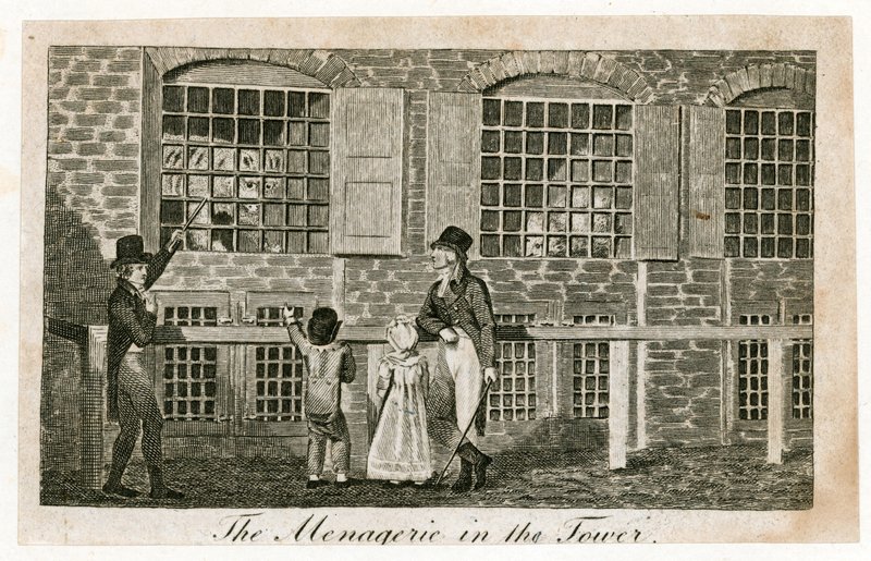 1820年頃のロンドン塔の動物園 作： 英語学校