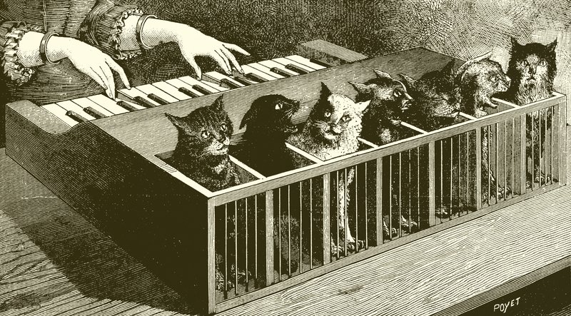 猫のピアノ 作： 英語学校
