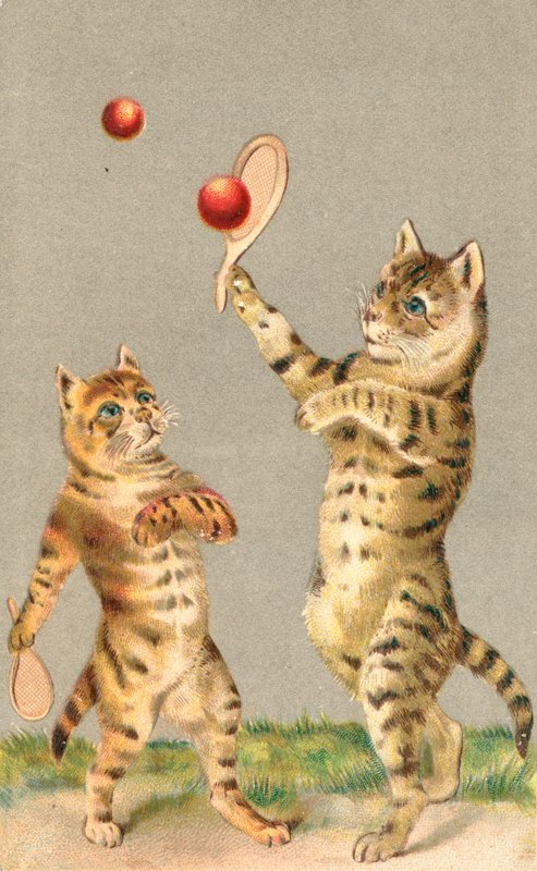 ラケットとボールで遊ぶ2匹の猫 作： 英語学校