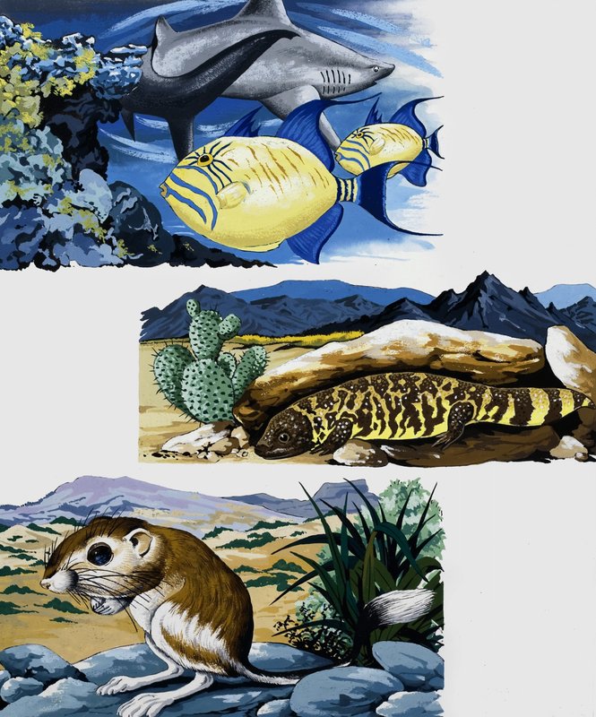 水中の生き物とマウス 作： 英語学校