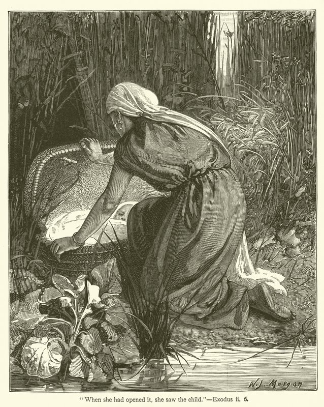 "彼女がそれを開いたとき、子供を見た "出エジプト記、2、6（彫刻）。 作： 英語学校