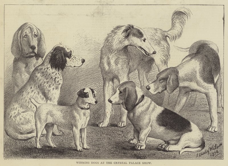 クリスタル・パレス・ショーでの勝利の犬（彫刻 作： 英語学校