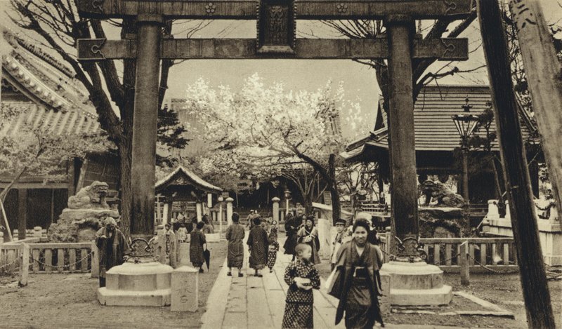 日本、東京の街並み、桜の時期（モノクロ写真 作： ヨーロッパの写真家
