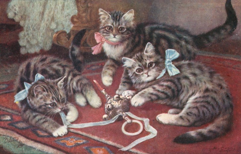 猫のポストカード（カラーリトグラフ） 作： ヨーロピアンスクール