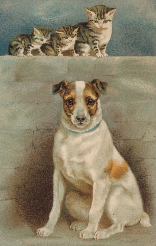 犬を観察する猫（カラーリトグラフ） 作： ヨーロピアンスクール