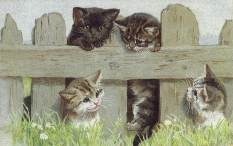 フェンスのそばの4匹の子猫（クロモリト） 作： ヨーロピアンスクール