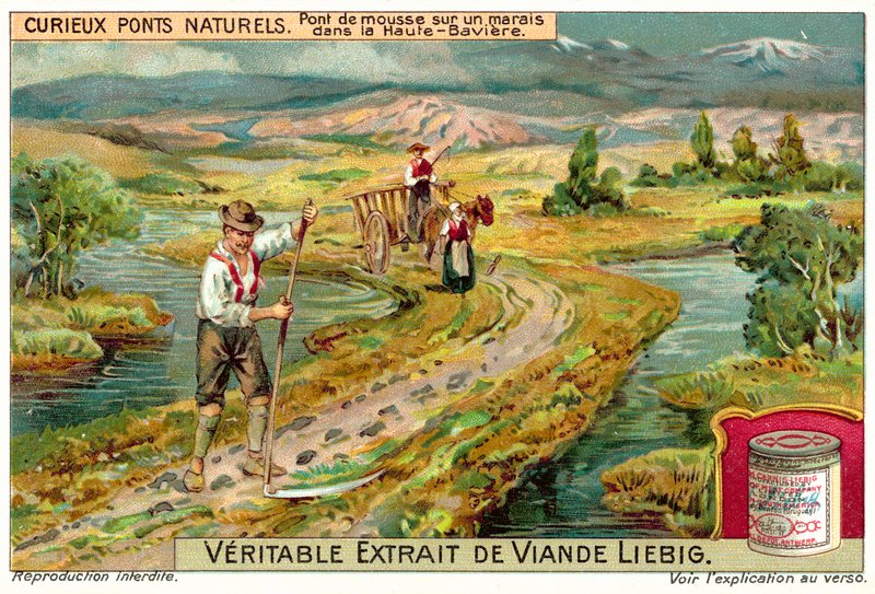 Upper Bavariaの沼地にあるコケの橋（chromolitho） 作： ヨーロピアンスクール