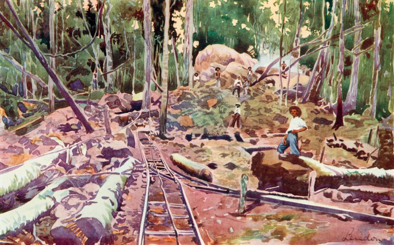 アマゾンの森を貫く、マデイラ・マモーレ鉄道（カラーリトグラフ） 作： ヨーロピアンスクール