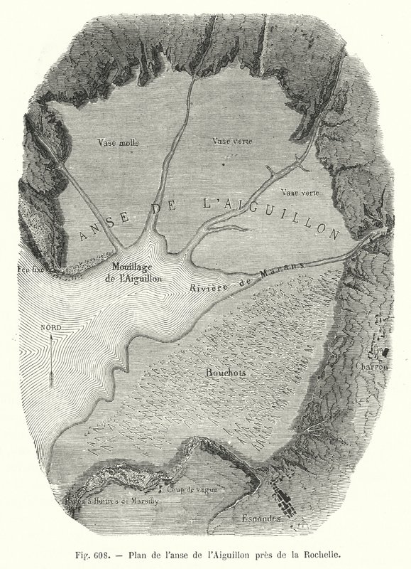 ラ・ロシェル近郊のエギュイヨンの入り江の地図（彫刻版 作： ヨーロピアンスクール